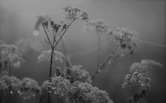 436c56af7313cfa50601a9cec61196d1 (2)